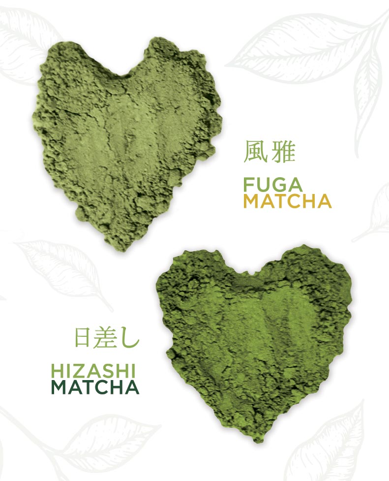 Seeuma Tea Hizashi Fuga Powders
