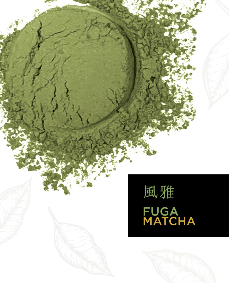 Seeuma Tea Fuga Matcha Powder