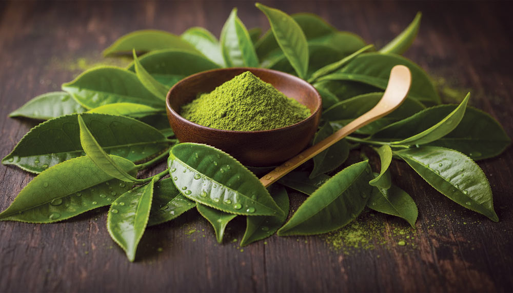 Seeuma Matcha Tea Hizashi Fuga Powder